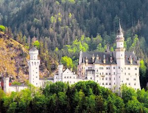 comp_24670d1301957296-schloss-neuschwanstein-ammerwald_149.jpg
