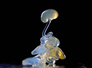 IMG06707.jpg IMG06707.jpg