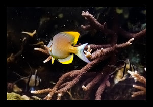 DSC_7267.jpg DSC_7267.jpg