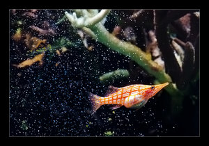 DSC_7289.jpg DSC_7289.jpg