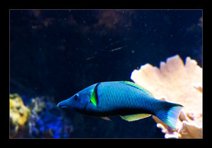 DSC_7304.jpg DSC_7304.jpg