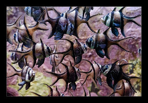 DSC_7312.jpg DSC_7312.jpg