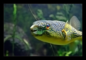 DSC_7320.jpg DSC_7320.jpg