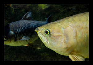 DSC_7330.jpg DSC_7330.jpg