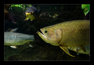 DSC_7331.jpg DSC_7331.jpg