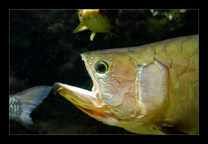 DSC_7332.jpg DSC_7332.jpg