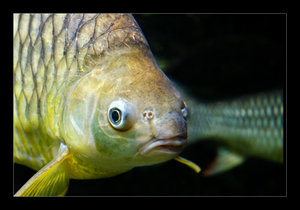 DSC_7335.jpg DSC_7335.jpg