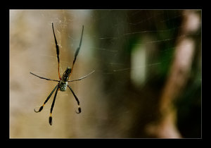 DSC_7338.jpg DSC_7338.jpg