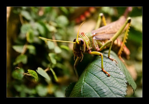 DSC_7347.jpg DSC_7347.jpg