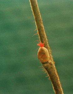 neuer ordner045.jpg mm.jpg