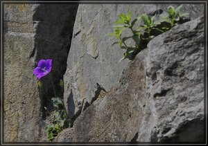 MB-SD10 - IMG07267_1.jpg