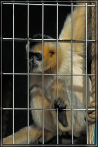 Zoo-SD15 - SDIM3533_1.jpg