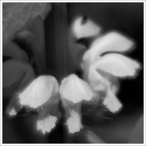 Eintrag im Tagebuch.jpg