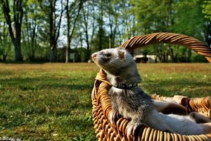 comp_img_00749n7m.jpg comp_img_00749n7m.jpg