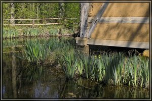 Kommern-SD10 - IMG10499.jpg