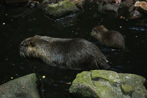 IMG_2067.JPG IMG_2067.JPG