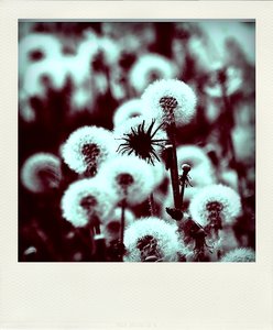 Eintrag im Tagebuch IV.jpg