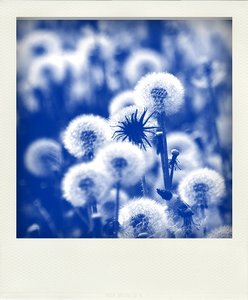 Eintrag im Tagebuch IV-b.jpg