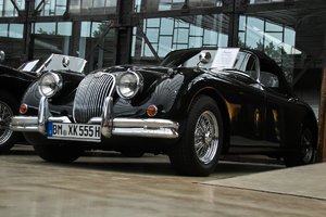 Cars-SD15 - SDIM4552.jpg