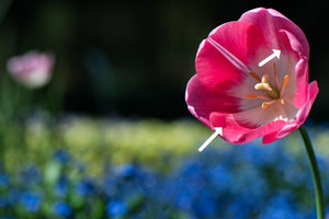 comp_SDIM3704_1_G1.jpg comp_SDIM3704_1_G1.jpg