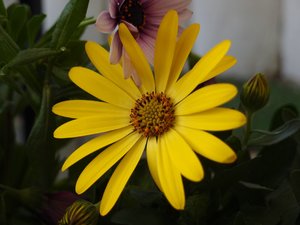 comp_P4300088.jpg comp_P4300088.jpg