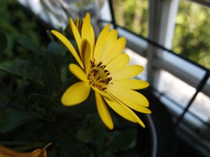 comp_P4300095.jpg comp_P4300095.jpg