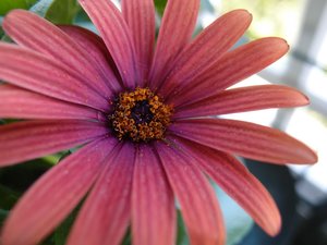 comp_P4300090.jpg comp_P4300090.jpg