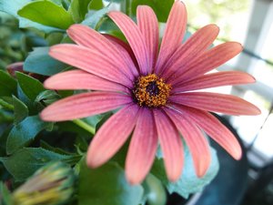 comp_P4300091.jpg comp_P4300091.jpg