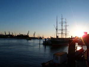 comp_P5010159.jpg comp_P5010159.jpg