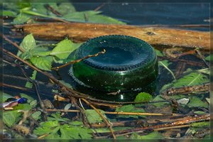 Treibgut-SD15 - SDIM4806.jpg