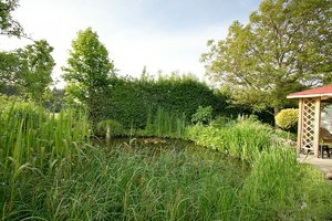 abend_DSC1828.jpg abend_DSC1828.jpg