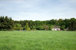 abend_DSC1839.jpg abend_DSC1839.jpg