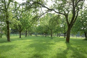 abend_DSC1842.jpg abend_DSC1842.jpg