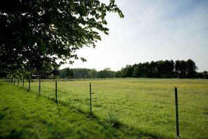 abend_DSC1833.jpg abend_DSC1833.jpg