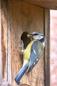 sample 6.jpg sample 6.jpg