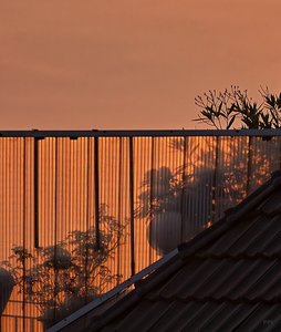 Schattentheater 06 05 2011 SDIM0311 SD15 + 70-200 psf(c) PPf..jpg