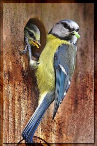 sample 5.jpg sample 5.jpg