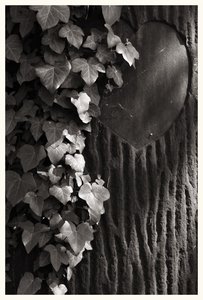 efeu_kl_rt_gp.jpg efeu_kl_rt_gp.jpg