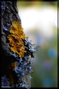 sample 3.jpg sample 3.jpg