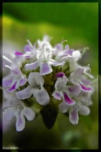 sample 4.jpg sample 4.jpg