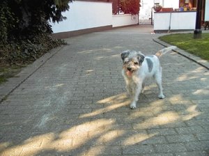 comp_jannisostern 009.jpg