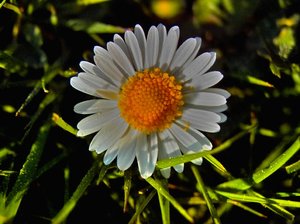 PIMG0008.JPG PIMG0008.JPG