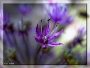 sample 10.jpg sample 10.jpg