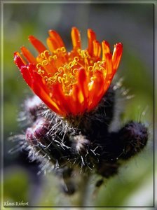 sample 8.jpg sample 8.jpg