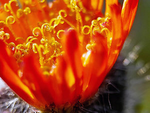 sample 9.jpg sample 9.jpg