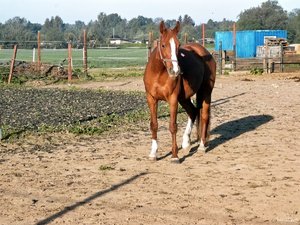 comp_PIMG0260.jpg comp_PIMG0260.jpg