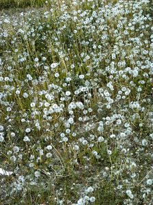 comp_PIMG0281.jpg comp_PIMG0281.jpg