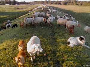 comp_PIMG0322.jpg comp_PIMG0322.jpg