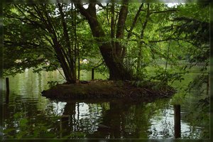 Ruhe-SDIM1057.jpg Ruhe-SDIM1057.jpg