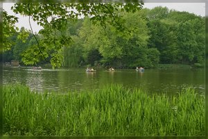 Ruhe-SDIM1077.jpg Ruhe-SDIM1077.jpg